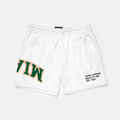 Miami Mesh Shorts | Exclusive